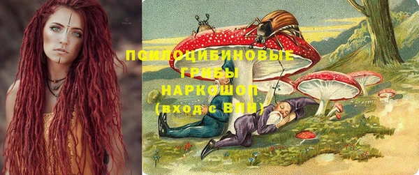 спайс Алзамай