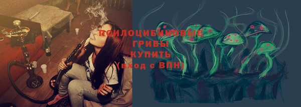 спайс Алзамай