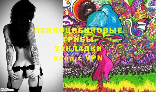 спайс Алзамай